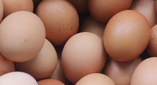 Imported eggs given green light